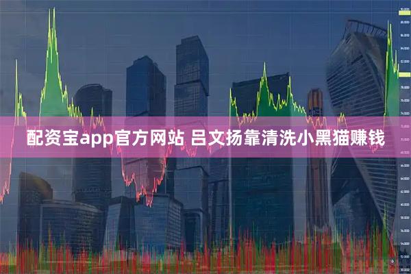 配资宝app官方网站 吕文扬靠清洗小黑猫赚钱